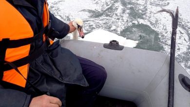 Photo of video |  Nu doar oamenii au nevoie de ajutor. O lebădă, salvată, după ce a rămas blocată pe gheață