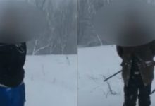 Photo of video | Fără autorizație și acte pentru arme, ar fi pornit să împuște câini, dar au vânat un fazan într-o rezervație naturală