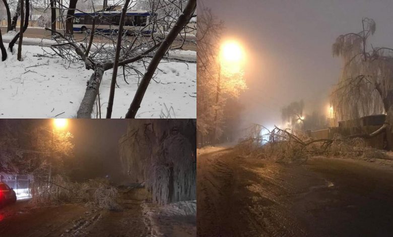 Photo of foto | Imagini matinale înfricoșătoare! Mai mulți copaci din capitală au căzut noaptea, iar unele crengi înghețate atârnă peste fire electrice