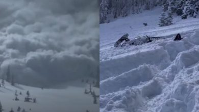 Photo of video | Momentul în care un un grup de turiști observă că o avalanșă se îndreaptă spre ei. O persoană, blocată sub nămeți
