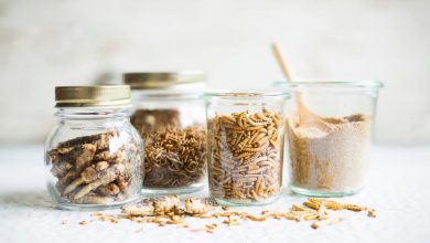 Photo of Insectele ajung pe rafturile supermarketurilor europene? Autoritățile au declarat sigur pentru om consumul viermelui galben uscat