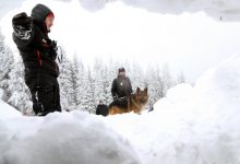Photo of Voiau să spună că stăpânii sunt în pericol. Doi câini care lătrau puternic au atras atenția turiștilor pe un munte din Elveția
