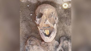 Photo of Mumii cu limbi aurii, descoperite de arheologi în Egipt. Ipotezele pe care le au istoricii