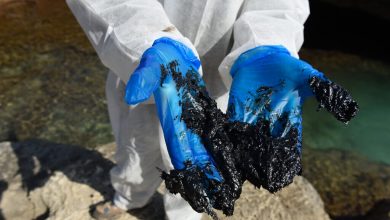 Photo of Israelul acuză Iranul că ar fi vărsat tonele de gudron în mare. „O navă pirat este responsabilă de acest atac”