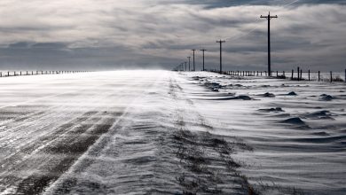 Photo of Va reveni iarna și în Republica Moldova? Meteorologii români anunță cod galben de ninsori și viscol
