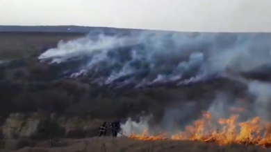 Photo of video | Vegetația uscată s-a aprins în apropierea Chișinăului. Circa 32 de hectare, afectate