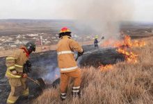 Photo of video | Incendiile de vegetație au pus pe jar pompierii. În 24 de ore aceștia au stins cinci focare