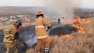 Photo of video | Incendiile de vegetație au pus pe jar pompierii. În 24 de ore aceștia au stins cinci focare