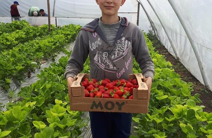 Photo of Un minor este de negăsit. Rudele și Poliția cer ajutorul cetățenilor