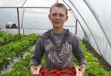 Photo of Un minor este de negăsit. Rudele și Poliția cer ajutorul cetățenilor