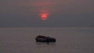 Photo of O barcă cu cadavrele a 24 de migranţi la bord a ajuns pe o plajă din Spania