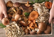 Photo of studiu | Consumul de ciuperci ar putea reduce riscul cancerului. Porția zilnică minimă recomandată de cercetători