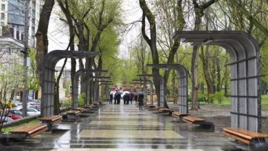 Photo of foto | Aleea artiștilor de creație din Parcul Catedralei, aproape gata. Când vom putea admira lucrările meșterilor