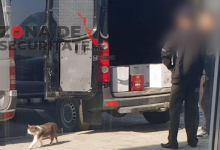 Photo of foto | Vin la schimb pentru vaccinul Sputnik V? 322 de cutii cu băutură ar fi fost îmbarcate în avionul Rusiei