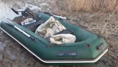Photo of video | Plase de sute de metri și 40 kg de pește prins ilegal, găsite de polițiștii de frontieră. Pescarii au fugit când au observat ofițerii