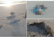 Photo of Mai mulți copii morți, aduși de valuri pe plajele din Libia, după ce ar fi încercat să ajungă în Europa