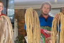 Photo of video | „Surpriză” pentru o familie de australieni. Au găsit 50 de piei de șarpe în pod după ce au chemat specialiștii să prindă o reptilă