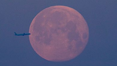 Photo of foto | Cum s-a văzut „superluna sângerie” în lume