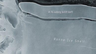 Photo of Antarctica: A apărut cel mai mare aisberg din lume, după ce s-a desprins de calota glaciară Ronne