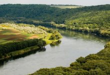 Photo of În R. Moldova va fi creată rețeaua Emerald: 154 specii de plante şi animale și 38 de habitate vor fi protejate pe teritoriul țării