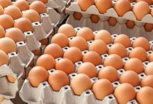 Photo of Avantaje și dezavantaje: Ce se întâmplă dacă consumi multe ouă