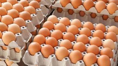 Photo of Avantaje și dezavantaje: Ce se întâmplă dacă consumi multe ouă