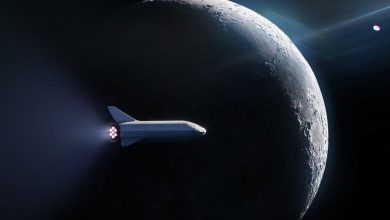 Photo of SpaceX va lansa o misiune pe Lună plătită cu criptomoneda Dogecoin