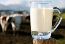 Photo of Ce se întâmplă în organismul tău dacă bei lapte în mod regulat? Noi studii arată efecte surprinzătoare