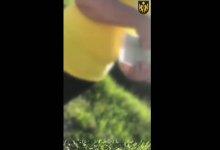 Photo of A „încurcat” troleibuzul cu mașina: O femeie s-a dat în spectacol după ce a fost oprită în trafic: „Băiatul meu lucrează fix ca matale”