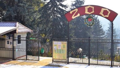 Photo of Hramul Chișinăului – fără evenimente majore. Intrarea în parcul Dendrariu și Grădină Zoologică va fi gratuită, iar angajații Primăriei vor primi un salariu în plus