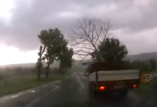 Photo of video | Norocul s-a ținut scai de șoferul unui camion! Momentul în care un arbore cade pe traseu, chiar în fața vehiculului
