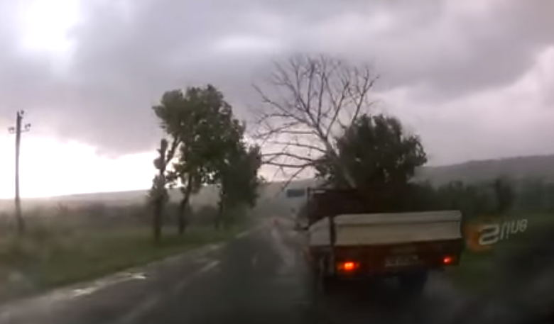 Photo of video | Norocul s-a ținut scai de șoferul unui camion! Momentul în care un arbore cade pe traseu, chiar în fața vehiculului