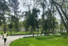 Photo of Scuarul Consiliului Europei din capitală va fi renovat. Când vor fi gata lucrările