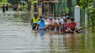 Photo of Ploi musonice în Sri Lanka: Cel puțin 17 morți și mii de localități sub ape