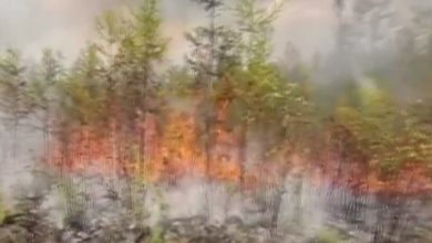Photo of Rusia: Temperaturile record provoacă incendii uriașe în Siberia