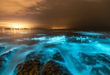 Photo of foto | Imagini spectaculoase în Australia: Apa marină a devenit strălucitoare. Explicația fenomenului