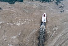 Photo of Mucilagiul marin a ajuns în Marea Neagră. Fenomenul amenință viața acvatică