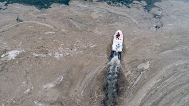 Photo of Mucilagiul marin a ajuns în Marea Neagră. Fenomenul amenință viața acvatică