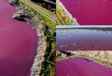 Photo of Efectele devastatoare ale poluării: Un lac din Patagonia a devenit roz. Motivul colorării apei