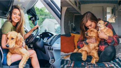 Photo of foto | A renunțat la locul de muncă pentru a locui într-o dubă cu animalele de companie. Cum arată noua casă a unei tinere