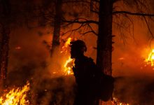 Photo of video | Incendiu masiv de vegetație în SUA: A ars o suprafață mai mare decât cea a orașului Los Angeles