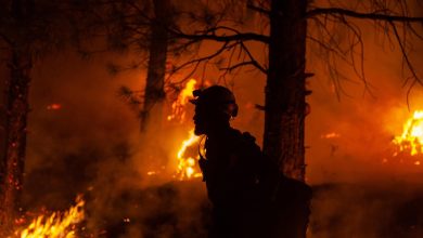 Photo of video | Incendiu masiv de vegetație în SUA: A ars o suprafață mai mare decât cea a orașului Los Angeles