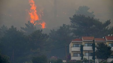 Photo of foto | Grecia: Mai multe hoteluri, evacuate de pe insula Samos din cauza unui incendiu puternic