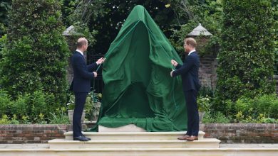 Photo of foto | William și Harry s-au reunit pentru a inaugura o statuie a prințesei Diana