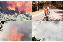 Photo of foto | Nordul Libanului, cuprins de flăcări: Un copil de 15 ani a murit în timp ce ajuta pompierii să stingă incendiile de vegetație