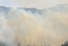 Photo of Italia: Pompierii luptă cu sute de incendii de vegetaţie