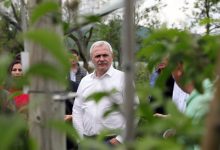 Photo of Liber, dar cu interdicții. Când va putea ocupa din nou Liviu Dragnea funcții publice