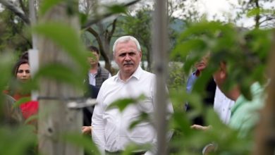 Photo of Liber, dar cu interdicții. Când va putea ocupa din nou Liviu Dragnea funcții publice