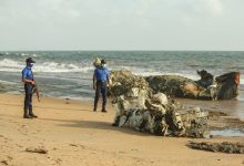 Photo of Dezastru ecologic de proporții: Circa 200 de țestoase, zeci de delfini și patru balene au murit din cauza naufragiului din Sri Lanka