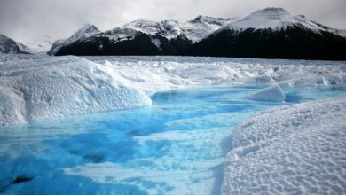 Photo of foto | Urme ale vieții erei glaciare ies la iveală în Rusia. Schimbările climaterice ar fi de vină